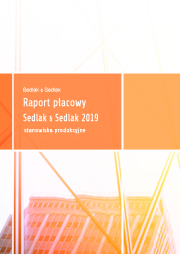 Raport płacowy Sedlak & Sedlak 2019 
- stanowiska produkcyjne