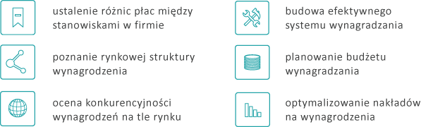 wykorzystanie