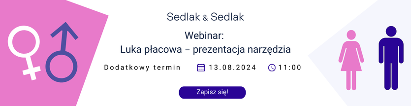 Prezentacja luki płacowej - 13.08.2024