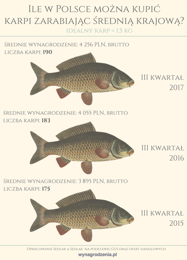 Infografika