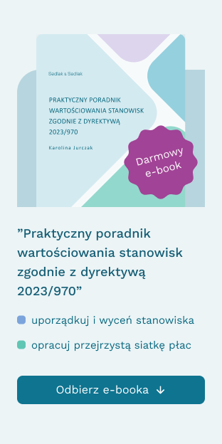 E-book wartościowanie baner pionowy